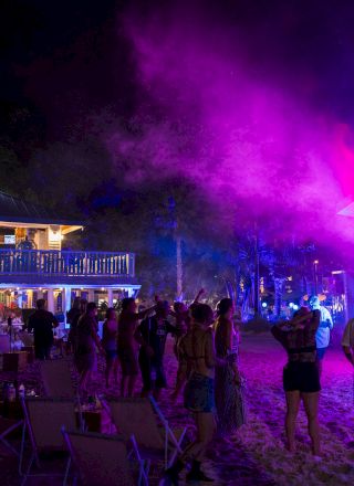 A lively night concert with a bright stage, purple lights, crowds dancing, and a large LED backdrop illuminating the scene.