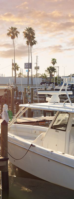 A marina with several boats docked, surrounded by palm trees under a bright sunset sky.