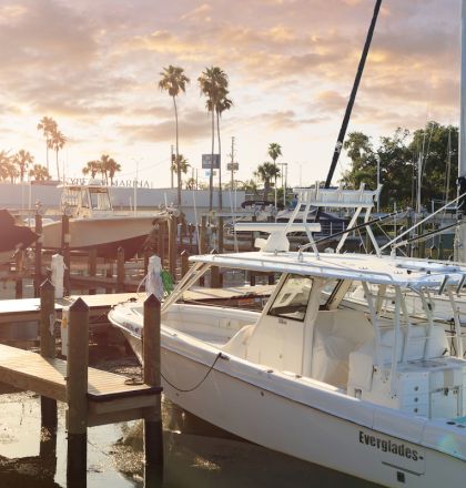 A marina with several boats docked, surrounded by palm trees under a bright sunset sky.