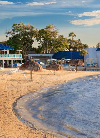 A sandy beach with palm trees, thatched umbrellas, and a resort with blue roofs under a clear sky. Lounge chairs line the shore.