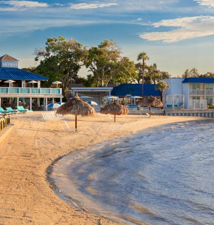 A sandy beach with palm trees, thatched umbrellas, and a resort with blue roofs under a clear sky. Lounge chairs line the shore.