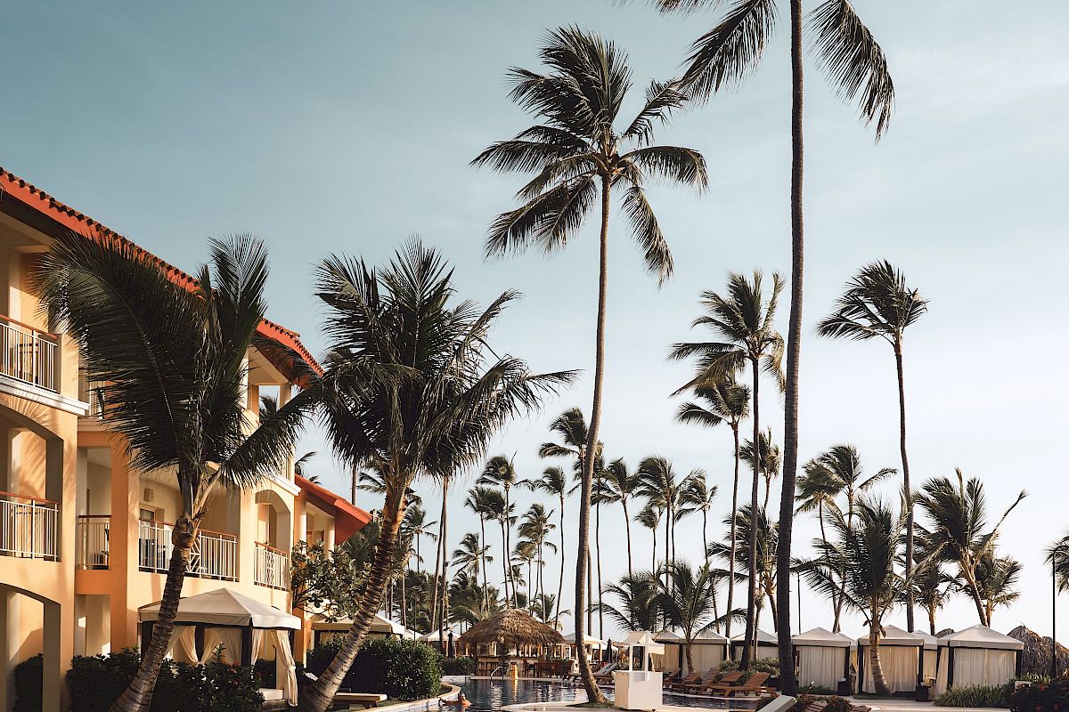 The image shows a tropical resort with palm trees, a swimming pool, and lounge chairs under a clear blue sky.
